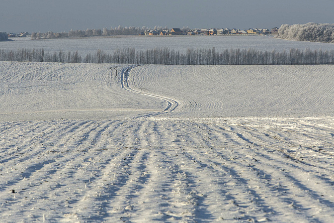 поле снег зима 