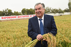 Матвиенко поздравила президента Таджикистана Эмомали Рахмона с 70-летием