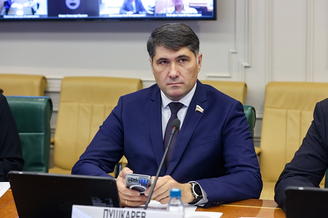 сенатор владимир пушкарёв