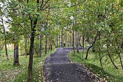 В Рослесхозе готовы править законодательство о рекреации в лесах