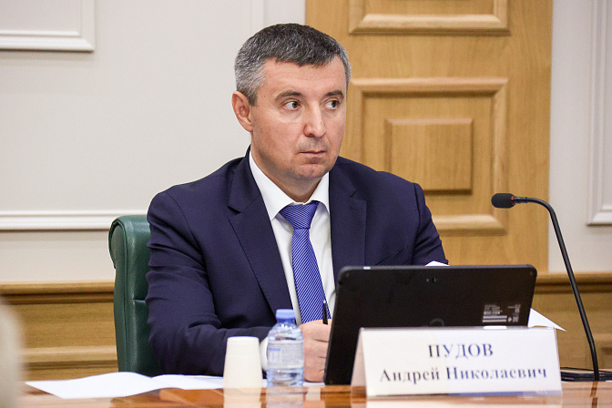 статс-секретарь-замминистра труда и соцзащиты рф андрей пудов