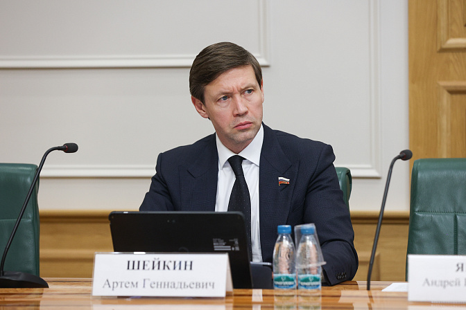 сенатор артём шейкин