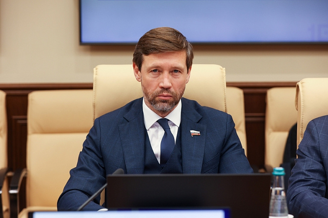 сенатор артём шейкин
