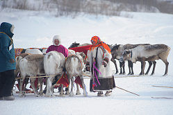 Представителям кочевых народов упростят порядок регистрации по месту жительства