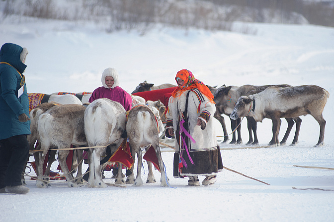 арктика коренные народы север 