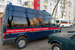 В СФ назвали цифровизацию СК РФ шагом к новой эпохе расследования преступлений