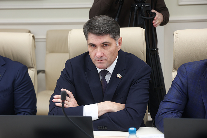 сенатор владимир пушкарёв