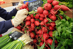 В РФ создали агрегатор закупок и поставок фермерской продукции в супермаркеты