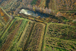В СФ ожидают повышения прозрачности предоставления земельных участков  