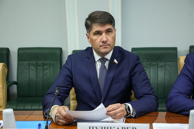 сенатор владимир пушкарёв
