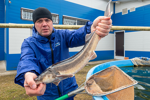 <p>Фото: Komsomolskaya Pravda/ Global Look Press</p>