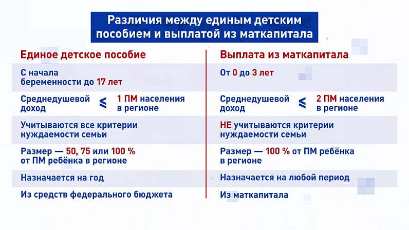 Инфографика: телеканал «Вместе-РФ»