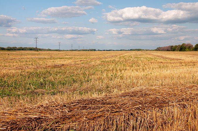 поле сельское хозяйство уборочная солома 