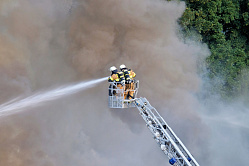 В СФ призвали провести анализ лучших региональных практик тушения лесных пожаров