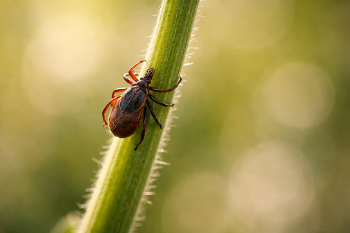 <p>Фото: Pogiba Alexandra/ news.ru/ Global Look Press</p>