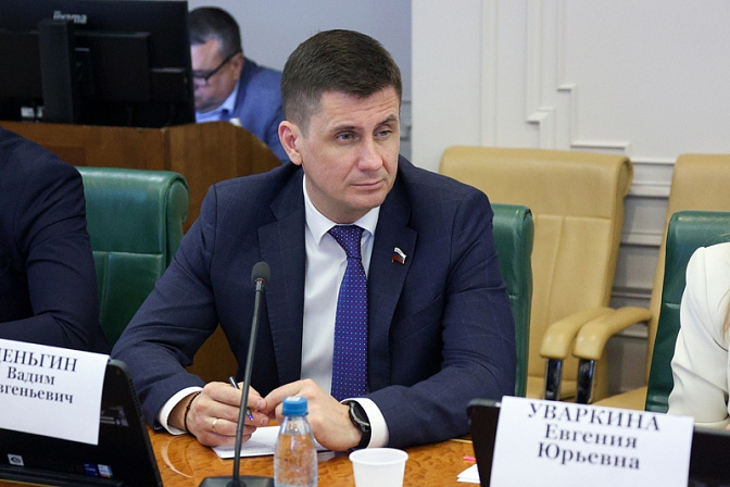 сенатор вадим деньгин