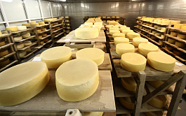 В СФ призвали разобраться, какая поддержка нужна производителям сыров и сметаны