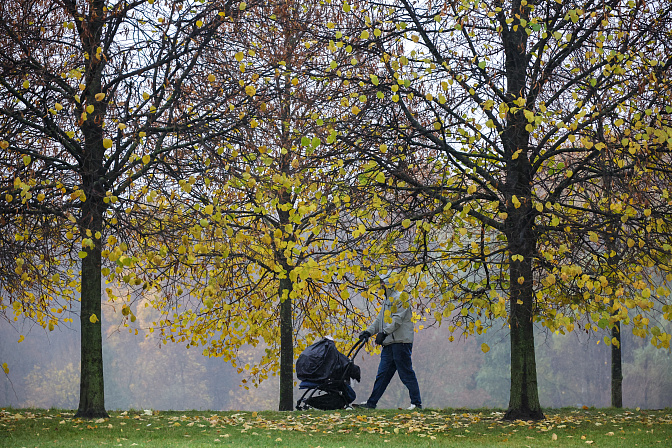 семья дети прогулка 