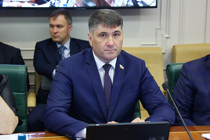 сенатор владимир пушкарёв