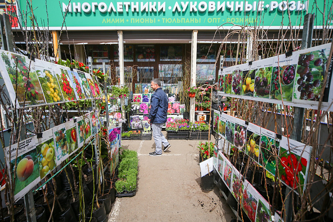 продажа товаров для дачи