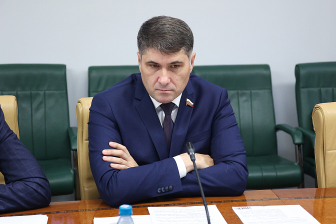 сенатор владимир пушкарёв