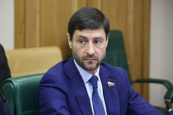Сенатор Синицын возглавил Комитет СФ по соцполитике 