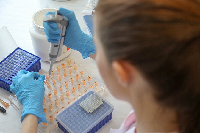 лаборатория пцр днк анализы 