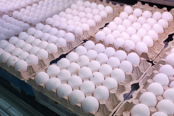 яйца магазин продукты 