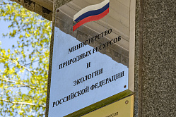 Счётная палата нашла нарушения у Минприроды на 74 млрд рублей 