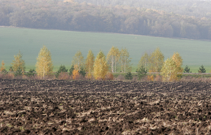 посевная поле агропром земля пашня 