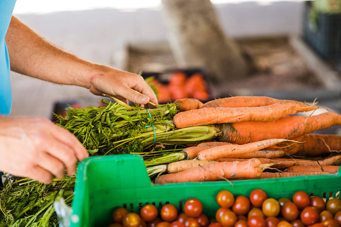 рынок фкрмерские продукты овощи 