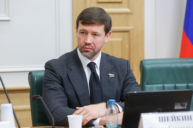 сенатор артём шейкин