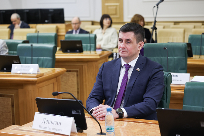 сенатор вадим деньгин