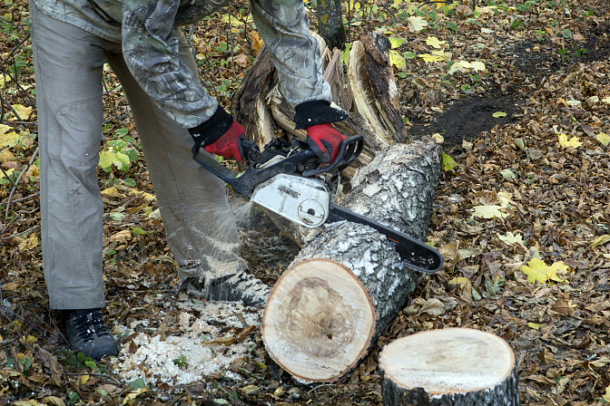 заготовка дров в лесу валежник 