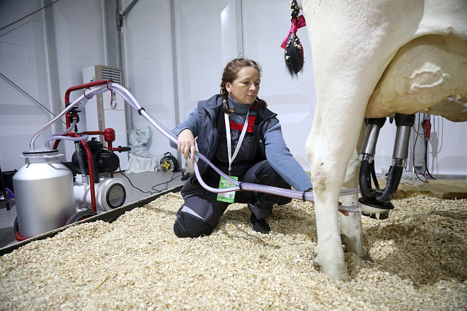агропром выставка модернизация современная доярка