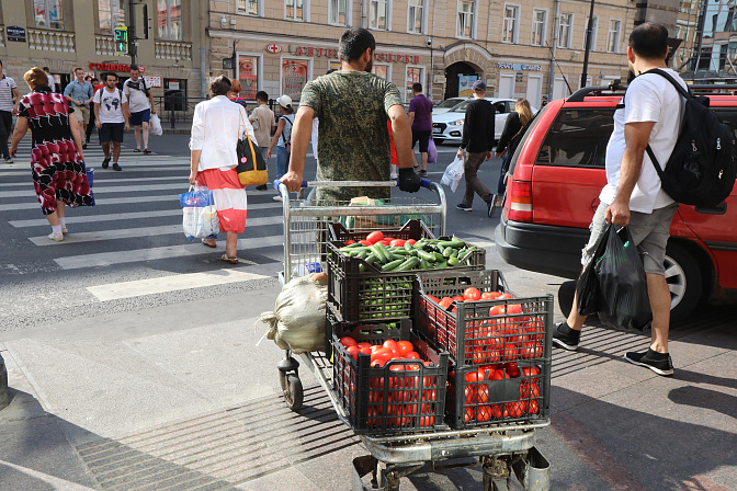 Фото: Лидия Верещагина/ СенатИнформ