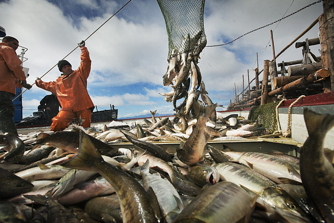Фото: fish.gov.ru