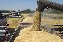 В СФ убеждены, что Россия будет настаивать на своих позициях по зерновой сделке