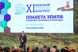 В Петербурге стартовала деловая программа XI НМЭК
