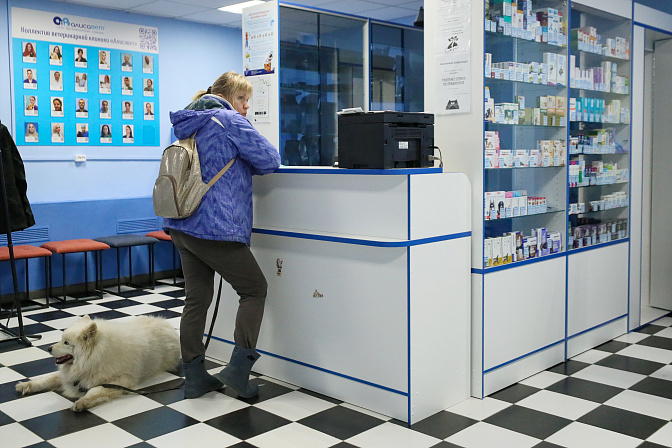 ветклиника 