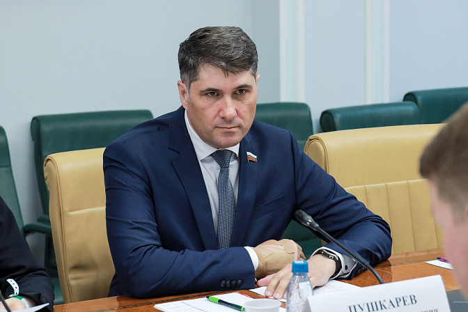 сенатор владимир пушкарёв