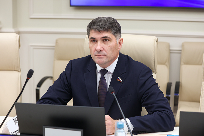 сенатор владимир пушкарёв