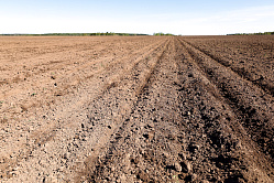 В СФ предлагают считать официальными данные с БПЛА при мониторинге сельхозземель