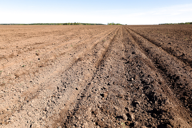 сельское хозяйство поле земля пашня посевная 