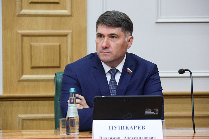 сенатор владимир пушкарёв