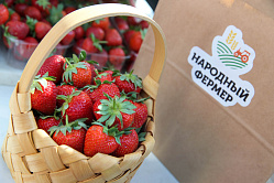 Стартовало всероссийское голосование за звание «Народный органический бренд» 