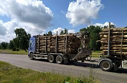 В СФ считают, что деревянное домостроение может стать драйвером развития лесной сферы