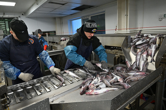 рыба завод рыбная продукция 