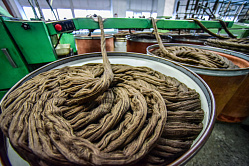 В СФ займутся развитием рынка шерсти и повышением её качества 