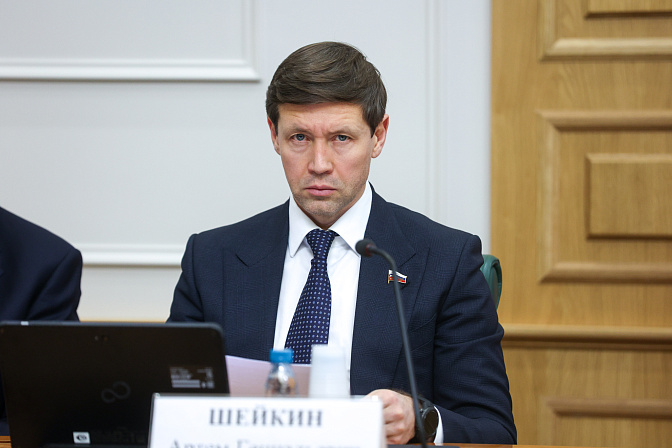 сенатор артём шейкин